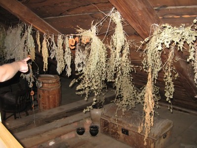 drying herbs on racks