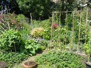 garden