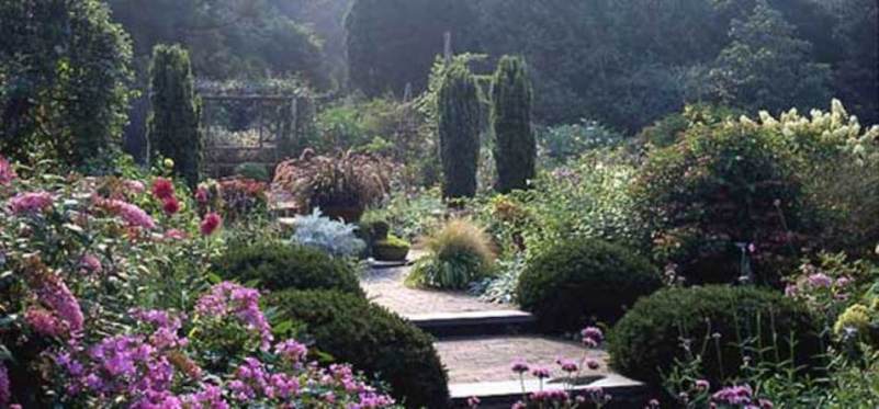 Easy to grow indoors
